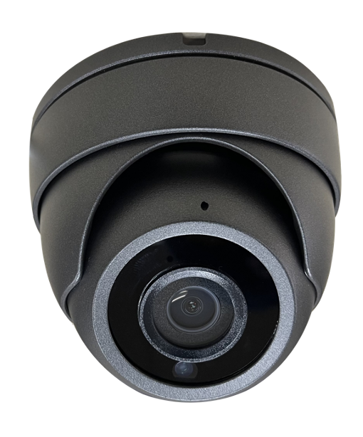 5MP 2.8mm Fixed Lens Eyeball Camera with Audio | BTG-N1509IROD/2.8