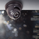 5MP Fixed Lens IR Black Eyeball Camera | BN8019BAI/NDAA